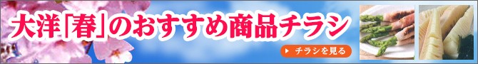 大洋「春」のおすすめ商品